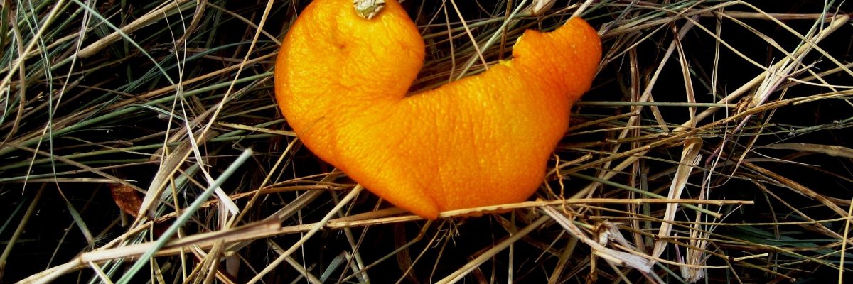 Buccia arancia